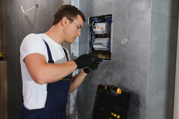Best Electric Panel Repair  in Romeovle, IL